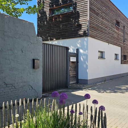 Elbquartier Apartments Magdeburg 'Die Stadtoase' Zewnętrze zdjęcie